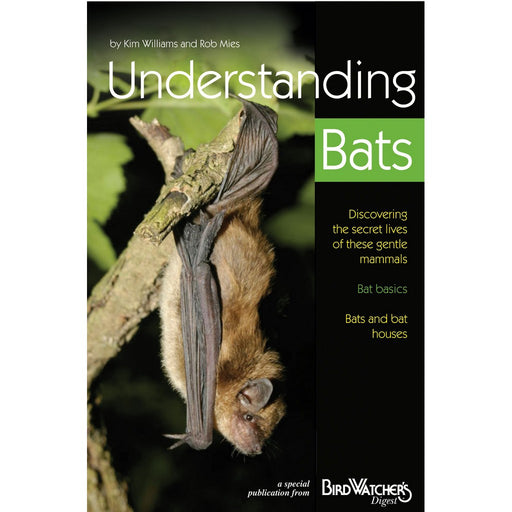 Understanding Bats