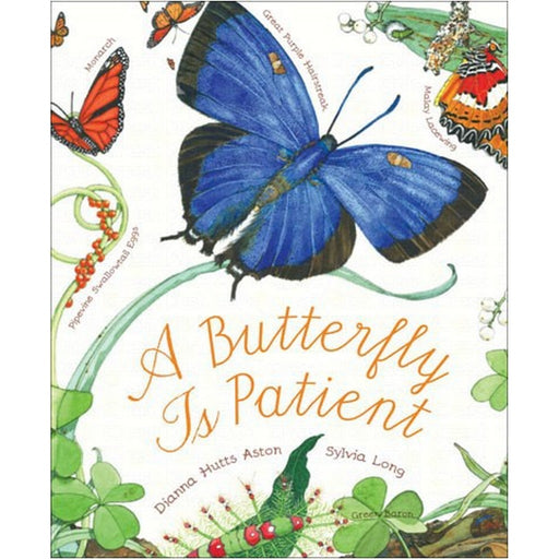 A Butterfly Is Patient