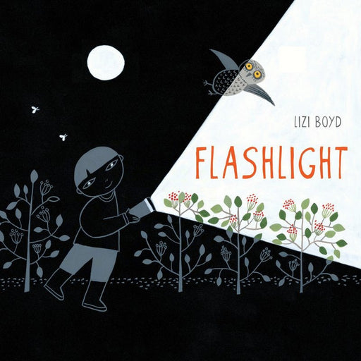 Flashlight Children's Picture Book by Lizi Boyd