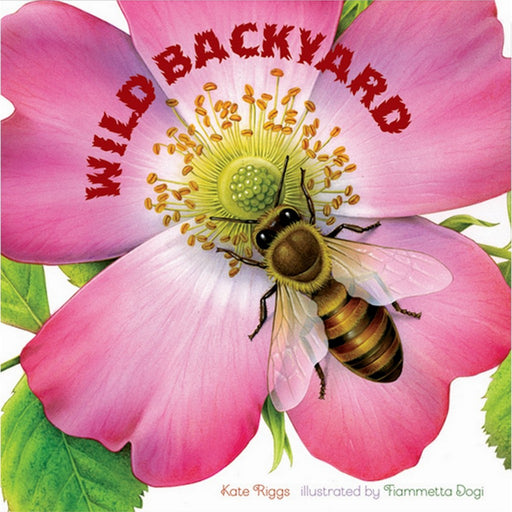 Wild Backyard by Kate Riggs