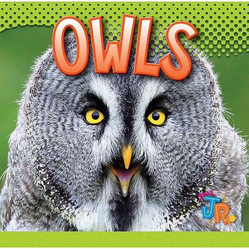 Owls by Marysa Storm