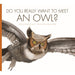 Do You Really Want to Meet an Owl? By Bridget Heos