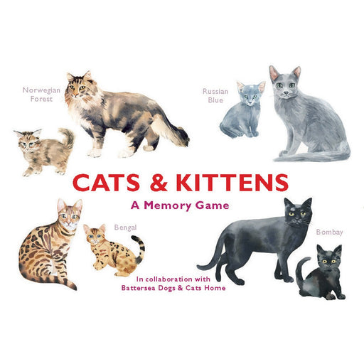 Cats & Kittens A Memory Game