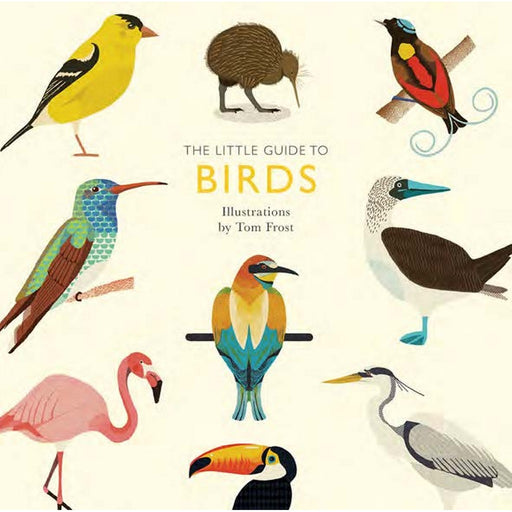 The Little Guide to Birds