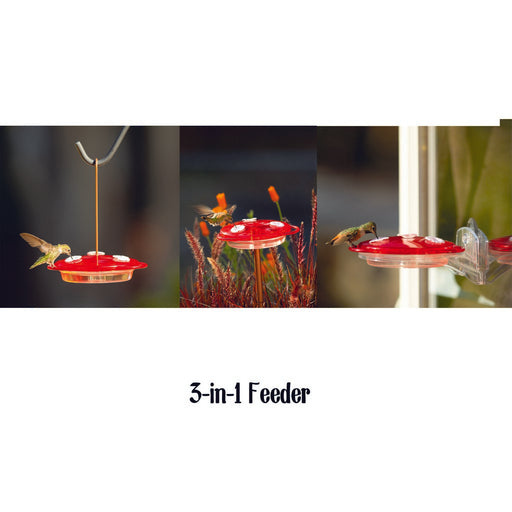 3 in 1 Hummingbird Feeder Must order in 4's