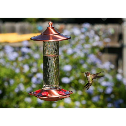Glory hummingbird Feeder 12 oz