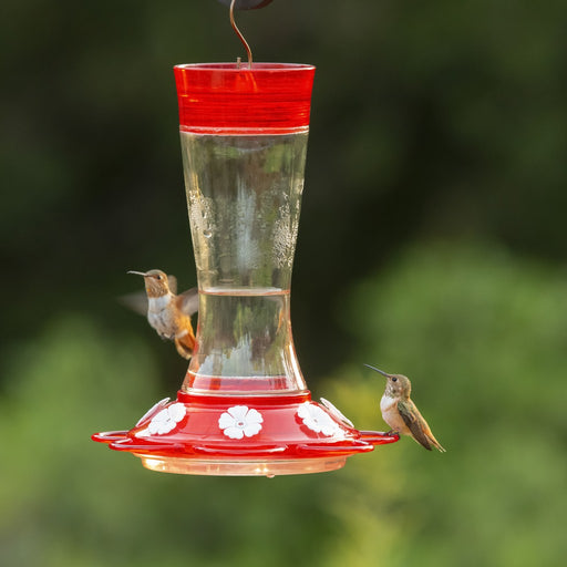 Garnet HumBird Feeder 20 oz Must order in 4's