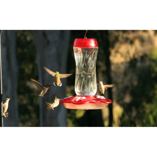 Orion Hummingbird Feeder