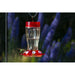 Big Gulp Hummingbird Feeder
