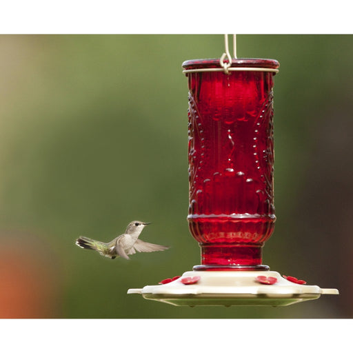 Red Vintage Hummingbird Feeder