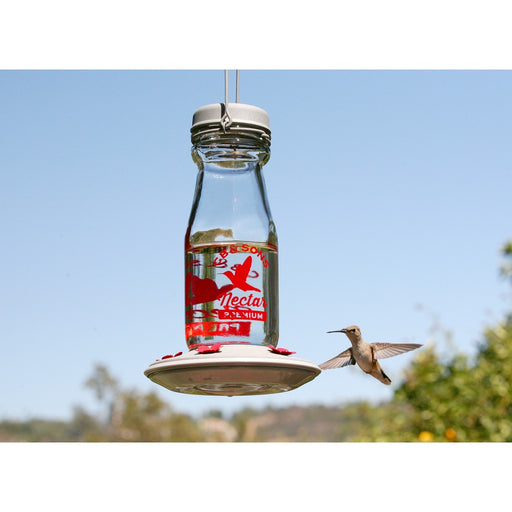 Jersey Hummingbird Feeder