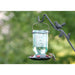 Mason Jar Hummingbird Feeder