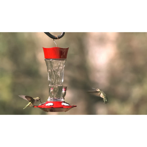 Twist Hummingbird Feeder