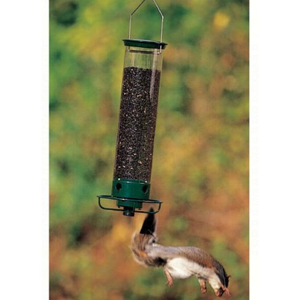 Yankee Flipper — Parrotcha