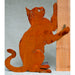 Playing Cat