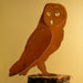Barn Owl Bird Silhouette