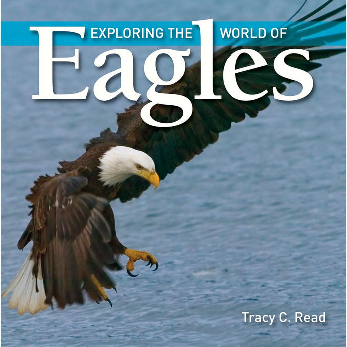 Exploring The World of Eagles
