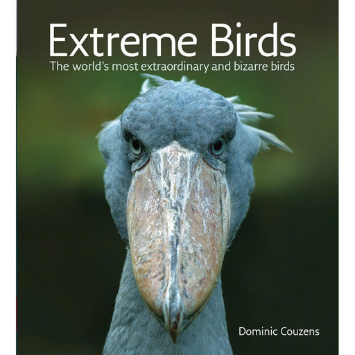 Extreme Birds