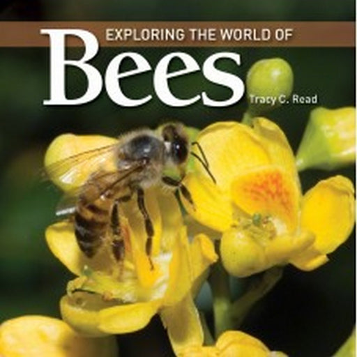 Exploring the World of Bees by Tracy Read