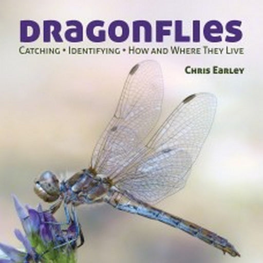 Dragonflies