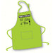 Today's Forecast Apron