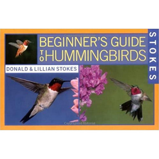 Beginner's Guide to Hummingbirds