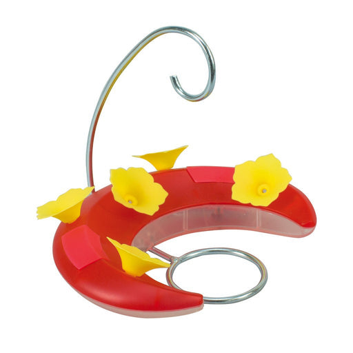 Crescent Hummingbird Feeder