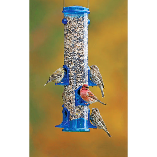 Jumbo Seed Feeder