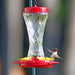Paradise Glass Hummingbird Feeder