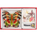 Butterfly Hostess Set