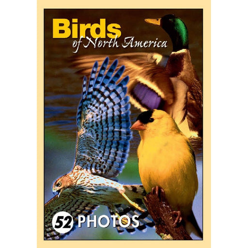 Birds of N.A. Mini Playing Cards
