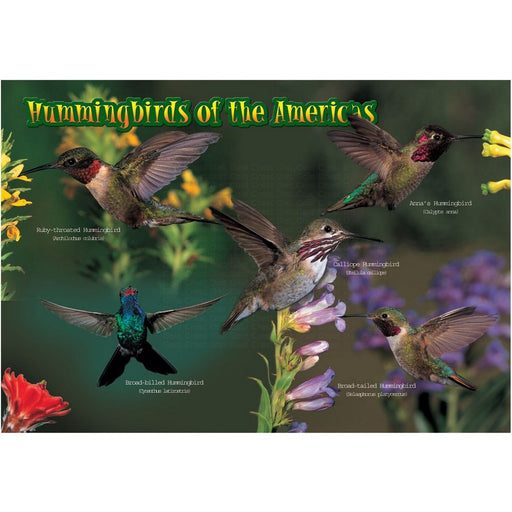 Kids Puzzle Hummingbirds 40 piece Puzzle