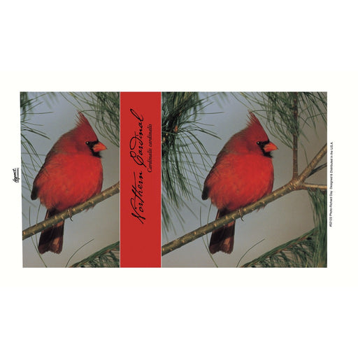 Mug 14 oz Northern Cardinal