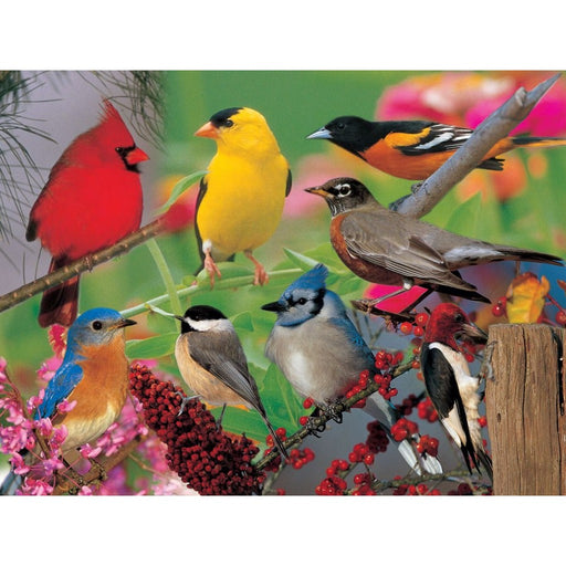 Puzzle Backyard Birds 500 piece Puzzle