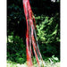 Rainbow Windsock Red Silver