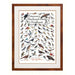 Peterson's Backyard Birds of the Northeast Poster