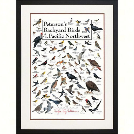 Peterson's Backyard Birds of Pacific NW Poster