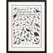 Peterson's Backyard Birds of Pacific NW Poster