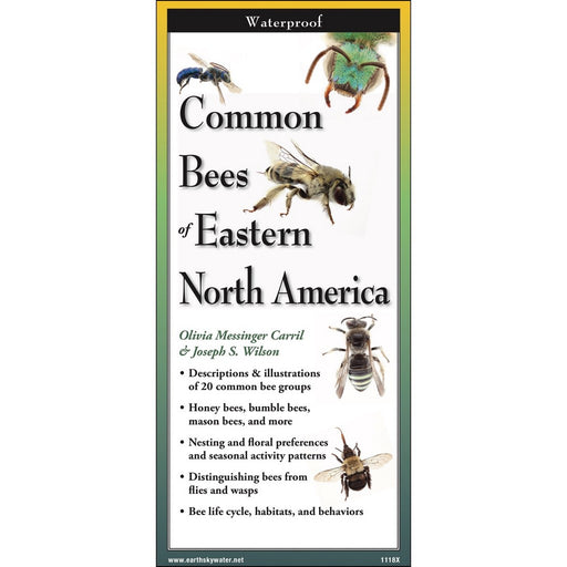 Common Bees of Eastern North America Folding Guide by Joseph S. Wilson & Olivia Messinger Carril