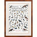 Peterson's Backyard Birds of Northern California Poster
