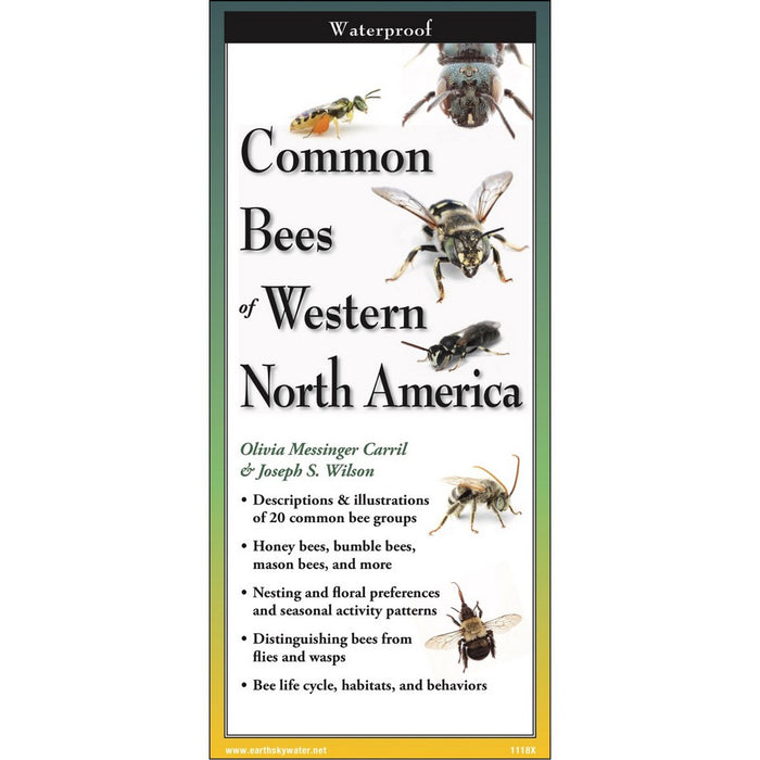 Common Bees of Western North America Folding Guide by Joseph S. Wilson & Olivia Messinger Carril