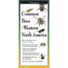 Common Bees of Western North America Folding Guide