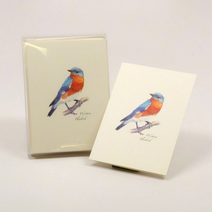 Western Bluebird Notecards