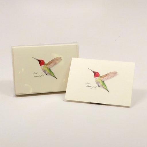 Anna's Hummingbird Notecards