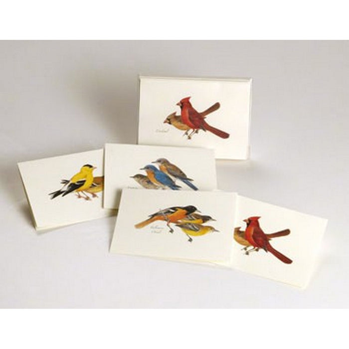 Peterson Bird Notecard Assortment (2 each of 4 styles)