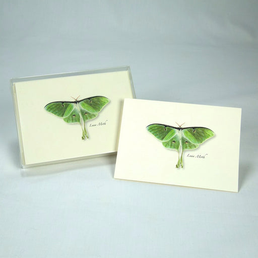 Luna Moth (Boxed Notes)