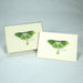 Luna Moth (Boxed Notes)