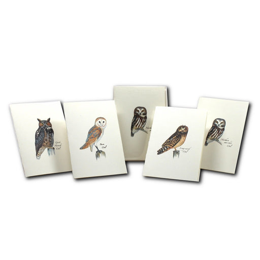 Sibley Owl Assortment