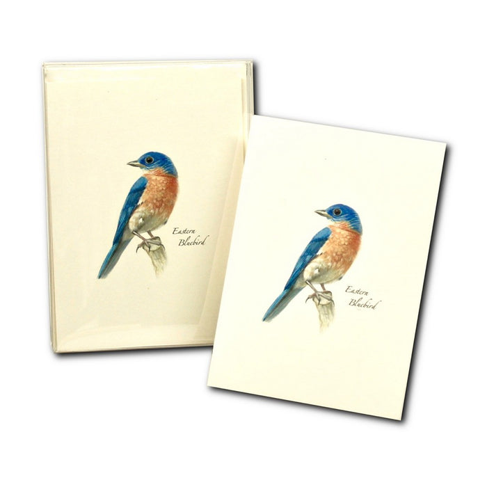 Bluebird II Boxed Notecards