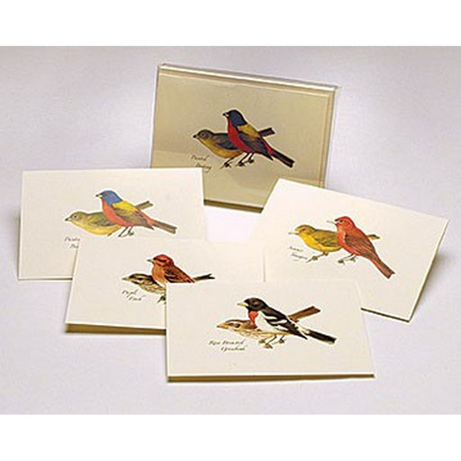 Peterson Bird Notecard Assortment II (2 each of 4 styles)